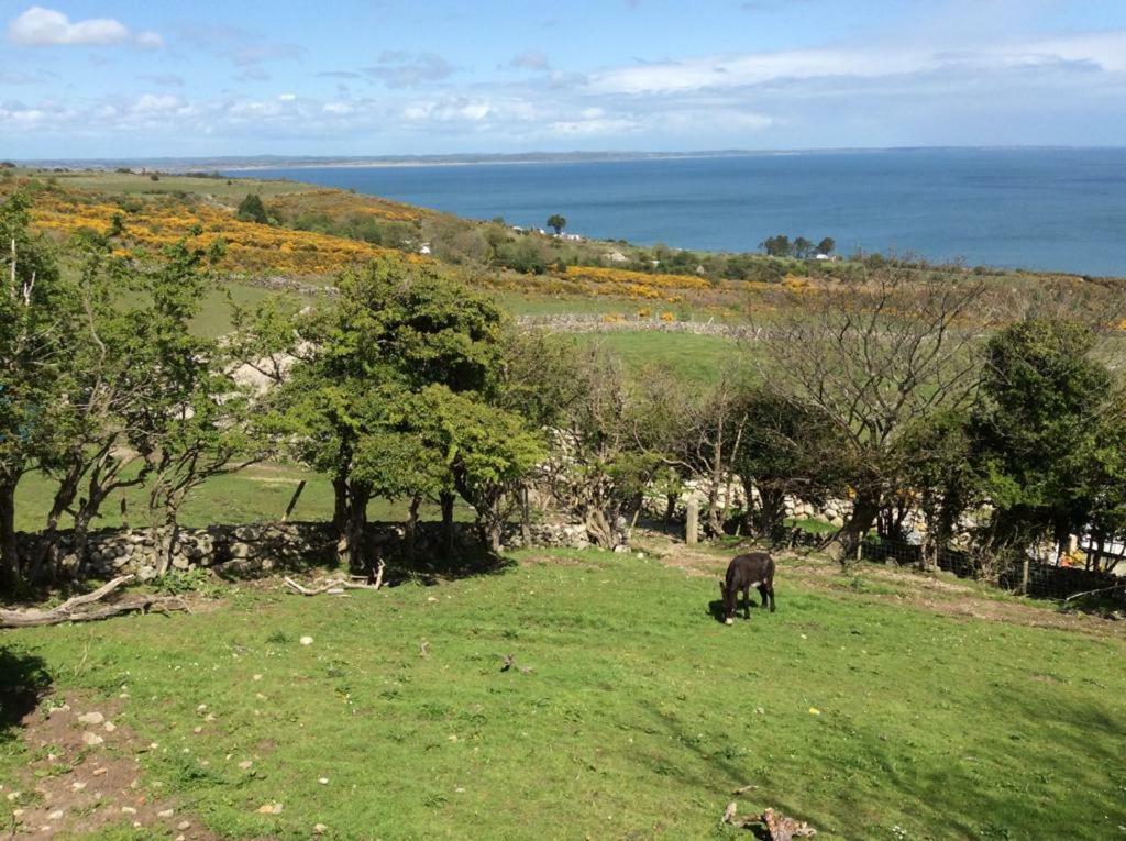 Stunning Views At Ballagh Cottage Newcastle Newcastle  Dış mekan fotoğraf